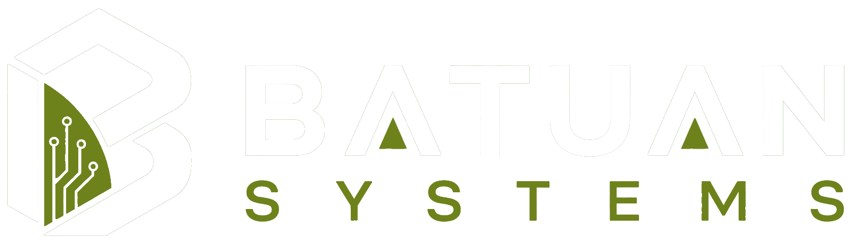 Batuan Systems logo